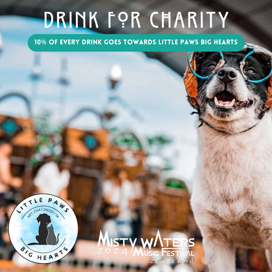 7 Must-haves for Misty Waters Music Festival South Africa 7 Must-haves for Misty Waters Music Festival