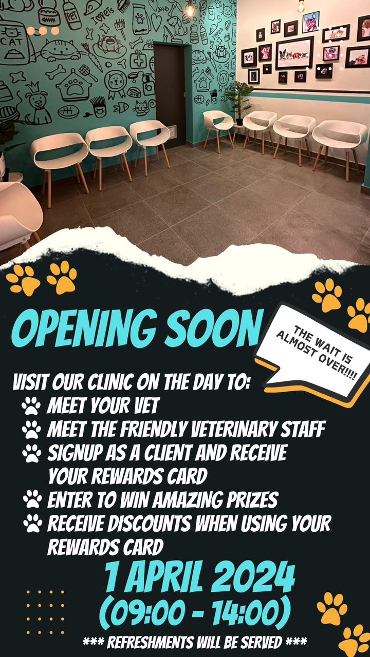 Innovavet
